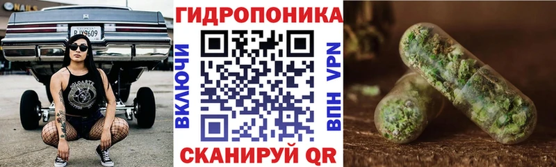 Канабис марихуана  Купить закладки  Жиздра 